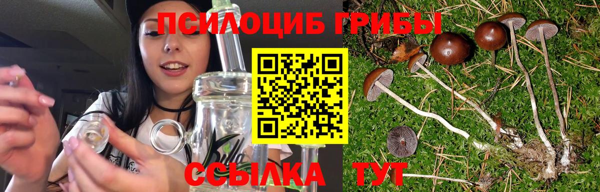 Уссурийск  Галлюциногенные грибы мицелий  Вход с VPN 