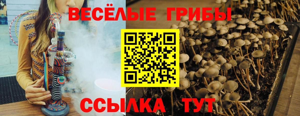 Канабис  A PVP СОЛЬ   Уссурийск  ГАШИШ  Codein  МЕФ   Вход с VPN  MDMA 